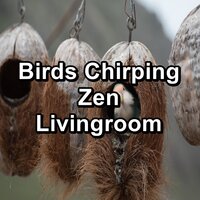 Music from Birds For Studying For Babies - Ocean Wave Sounds & Ocean Waves for Deep Sleep & Piano and Ocean Waves