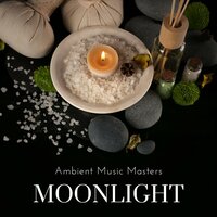 Spa Music Massage - Ambient Music Masters