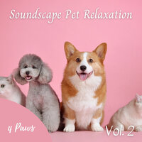 Peaceful Instrumental For Dogs - Dog Relaxation & Dog Sleep Dreams & Dogs Music Therapy