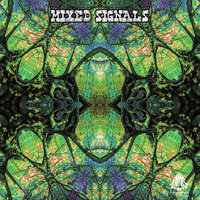 Inside The Cave - Krishna