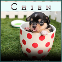 Musique Relaxante Pour Chiens - Musique pour Chiens & Musique D'ambiance Pour Les Chiens & La Musique Pour Chiens