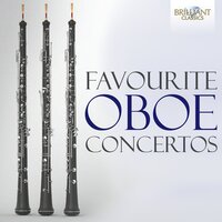 Oboe Concerto in D Minor, S.Z799: I. Andante e spiccato - Robin Williams & Алессандро Марчелло