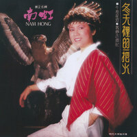 但是又無奈 - 南虹