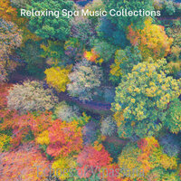 Hypnotic Shakuhachi and Harps - Vibe for 1 Hour Spa - Relaxing Spa Music Collections