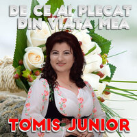 Tomis Jr trece vara vine toamna - Tomis Junior
