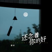 还念着你的好 - 暴林