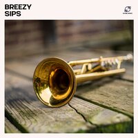 Cool Reflections - Smooth Jazz Deluxe & Smooth Jazz Music Set & Clever Study Jazz & Blue Velvet Trio