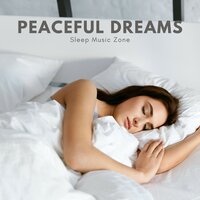 Ambient Music - Sleep Music Zone