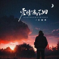 爱情追不回 - 王超然