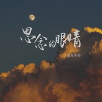 思念的眼睛 - 南方乔乔