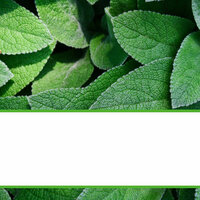 Deluxe Ambience for Staying Fresh - Slow Relaxing Jazz