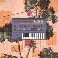 Blooms - Ashkan Kagan & Nekoo