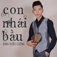 Con Nhái Bầu - Đinh Quốc Cường