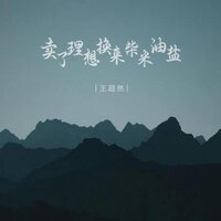 卖了理想换来柴米油盐 - 王超然 & 默涵