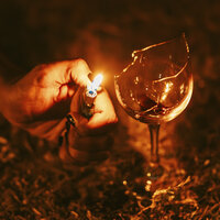 Lost In Love - Netto