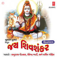 Bhajman Shiv Hare Hare - Anuradha Paudwal & Shailendra Bharti & Parthiv Gohil