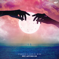 Not Letting Go - Starlyte & Harley Bird