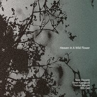 4 x 12 - Niels Vincentz & Søren Kjærgaard & Thomas Morgan & Billy Hart