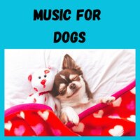 Belly Rubs - Music for Dogs & Music for Dogs Peace & Relaxing Puppy Music & Calm Pets Music Academy