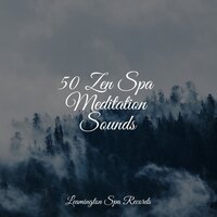 Seaside Air - mindfulness meditation world & Meditation Rain Sounds & Rain Sounds Rain
