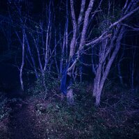 да просвятит нас бог - гречка