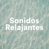 Meditación - Música para Trabajar - Memoria Linda & Perception of Sounds & Memoria Linda & Perception of Sounds