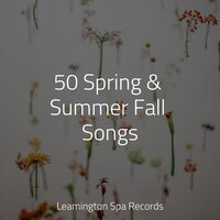 Sleeping on Clouds - Spa Music Collective & Deep Sleep FX & Especialistas de Musica para Dormir