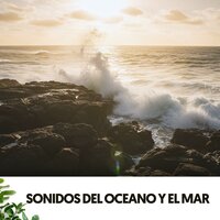 Serenata serena al atardecer - Cat Music Therapy & Ocean Sounds Plus & Relaxing Guru