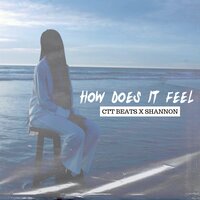 How Does It Feel - CTT Beats & Shannon