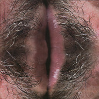 Olhos de Star - Carlos Careqa