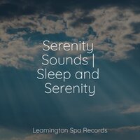 Starting Today - Yoga Workout Music & Relaxing music & Sleep Sound Library