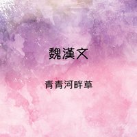 從前的日記 - 魏漢文