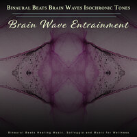 Stress Relief Music - Binaural Beats Brain Waves Isochronic Tones Brain Wave Entrainment & Solfeggio Frequencies 528Hz & Healing Music Collective