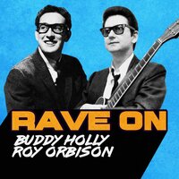 I'll Say It's My Fault - Roy Orbison