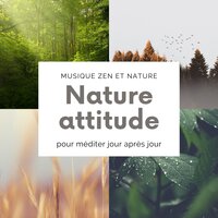 Méditer jour après jour - Madame Tuina Zen