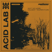 Coldest Temperature - Acid Lab