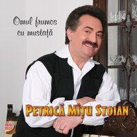 Copilasii mei - Petrică Mîțu Stoian