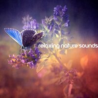 Peaceful Lullaby - Relaxation Academy