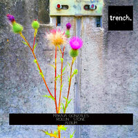 Rollin' Stone - Makaja Gonzales