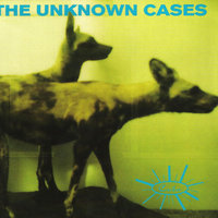 The Traveller - The Unknown Cases