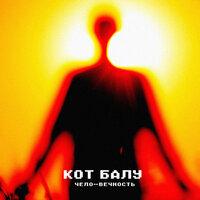 Тихий вечер - Кот Балу