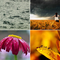 Laid-back Ambience for Rainy April - Java Jazz Cafe