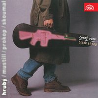 Driving Into The Future - Michal Prokop & Jan Hruby