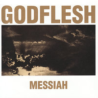 Wilderness of Mirrors - Godflesh