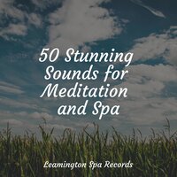 Calm Spa Music - Rain Sounds For Sleep & White Noise for Baby Sleep & Fabricantes De Lluvia