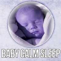 Keep Calm - Baby Lullaby Festival