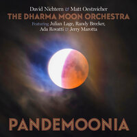 No Words - David Nichtern & Matt Oestreicher & The Dharma Moon Orchestra & Jerry Marotta & Ada Rovatti