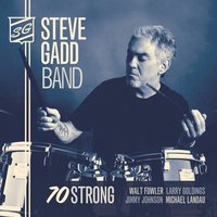 Freedom Jazz Dance - Steve Gadd & Walt Fowler & Larry Goldings & Jimmy Johnson & Michael Landau & Steve Gadd Band
