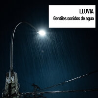 Christmas Weather - Musica para Concentrarse & Música De Relajación Para Dormir Profundamente & Reiki Armonía