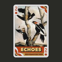 Gracious Move - Relaxation Guru